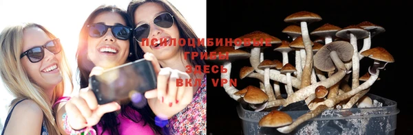 прущий лед Алзамай
