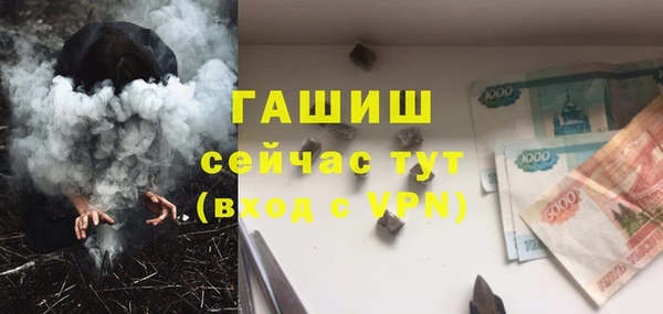 прущий лед Алзамай