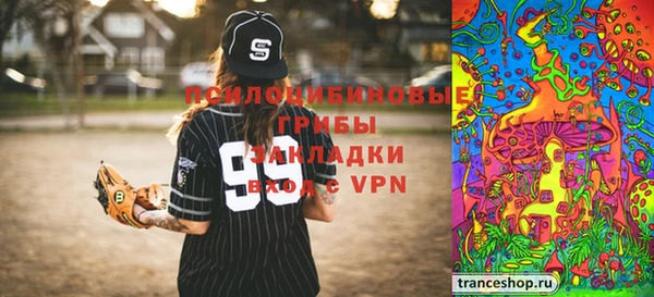 прущий лед Алзамай