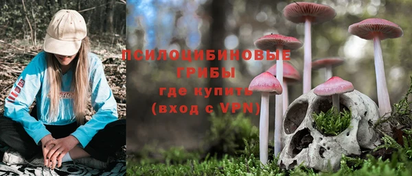 а пвп мука Алексин