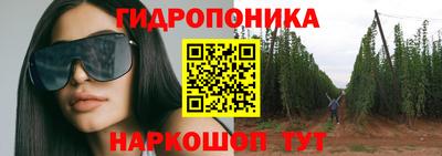 каннабис Кингисепп
