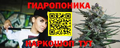 каннабис Кингисепп