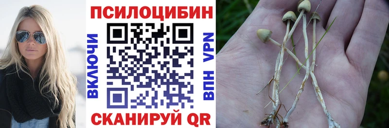 OMG вход  Кириши  Галлюциногенные грибы мицелий 