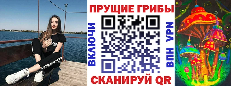 Псилоцибиновые грибы Psilocybine cubensis Кириши