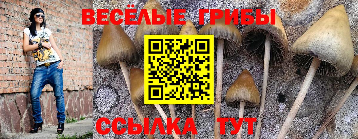 Галлюциногенные грибы ЛСД  Псилоцибиновые грибы ЛСД  где купить наркоту  Кириши  Вход с VPN 
