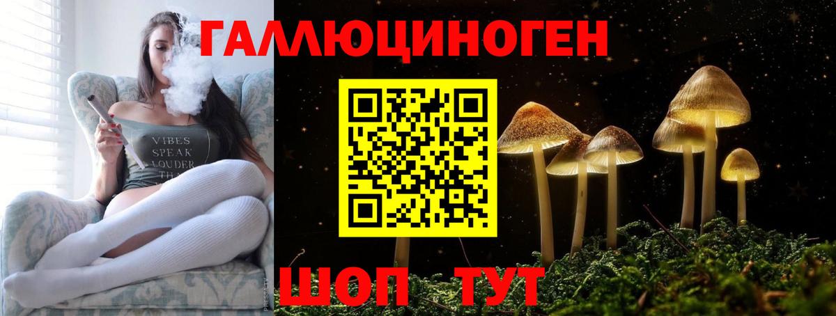 Галлюциногенные грибы прущие грибы Кириши