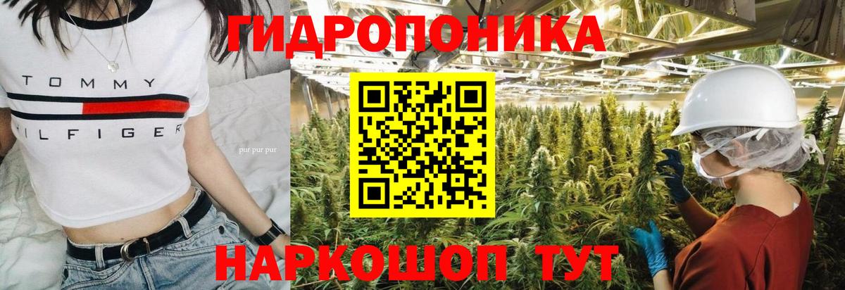 Марихуана OG Kush Кириши